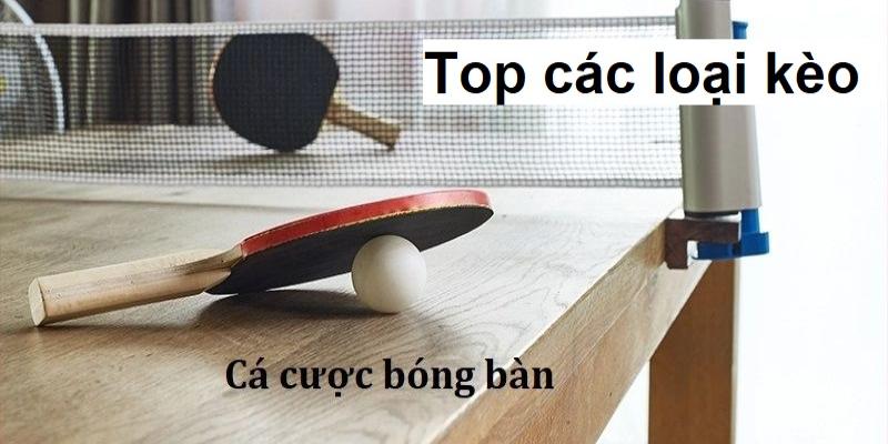 Top các loại kèo phổ biến trong betting bóng bàn